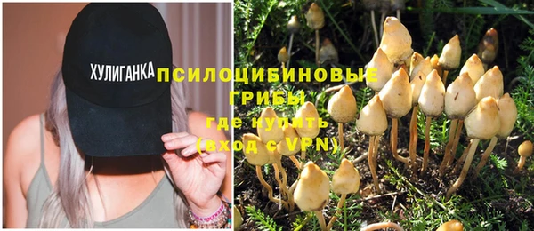 трава Белокуриха