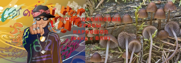 spice Богородск