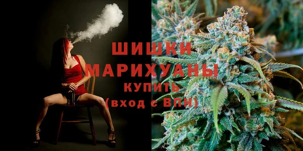 spice Богородск