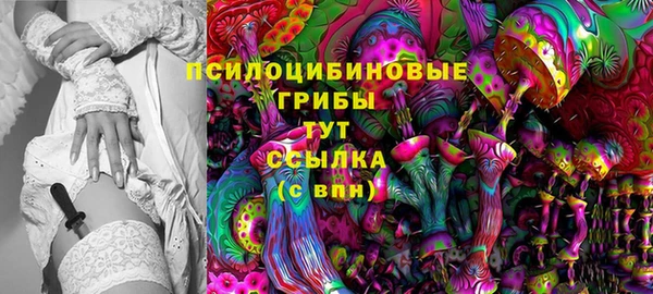 дурь Богданович